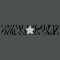 Women's zebra stripe and star t-shirt Design