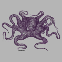 Unisex purple squid t-shirt Design