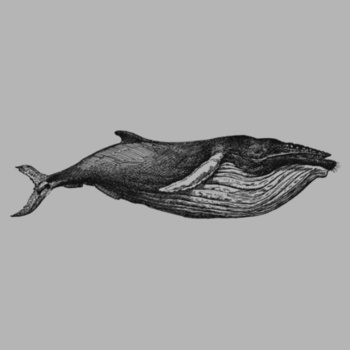 Unisex vintage whale t-shirt Design