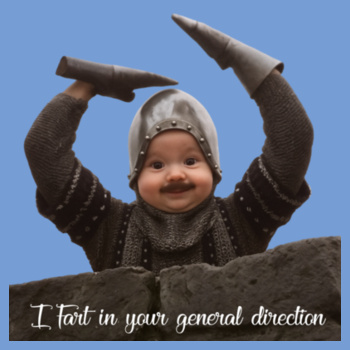 Mon ty Python Holy Grail Baby Ai tshirt "I Fart in your general direction" Design