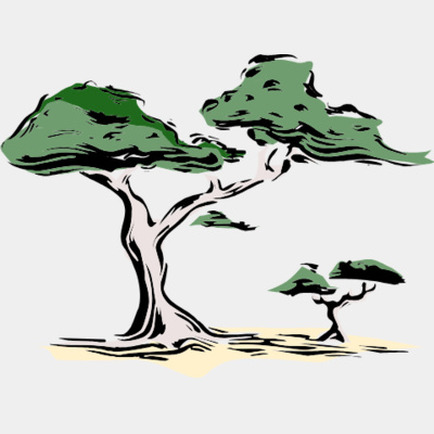 PLAN0053 Thumbnail