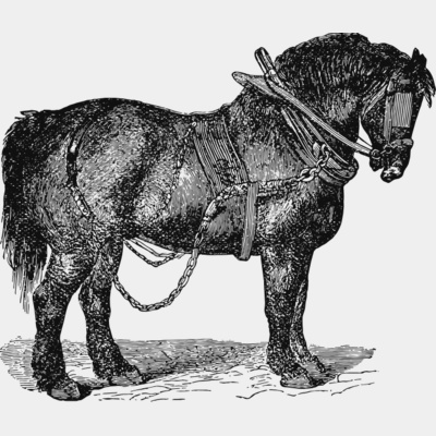 Horse vintage print 2 Thumbnail