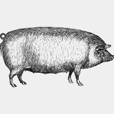 Farm animals Thumbnail